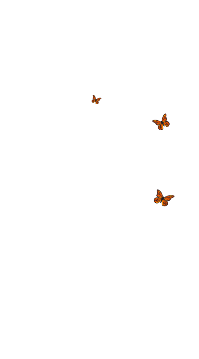butterflies